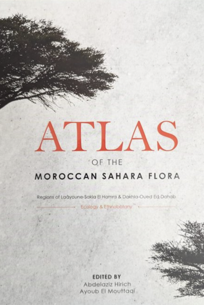 publication image